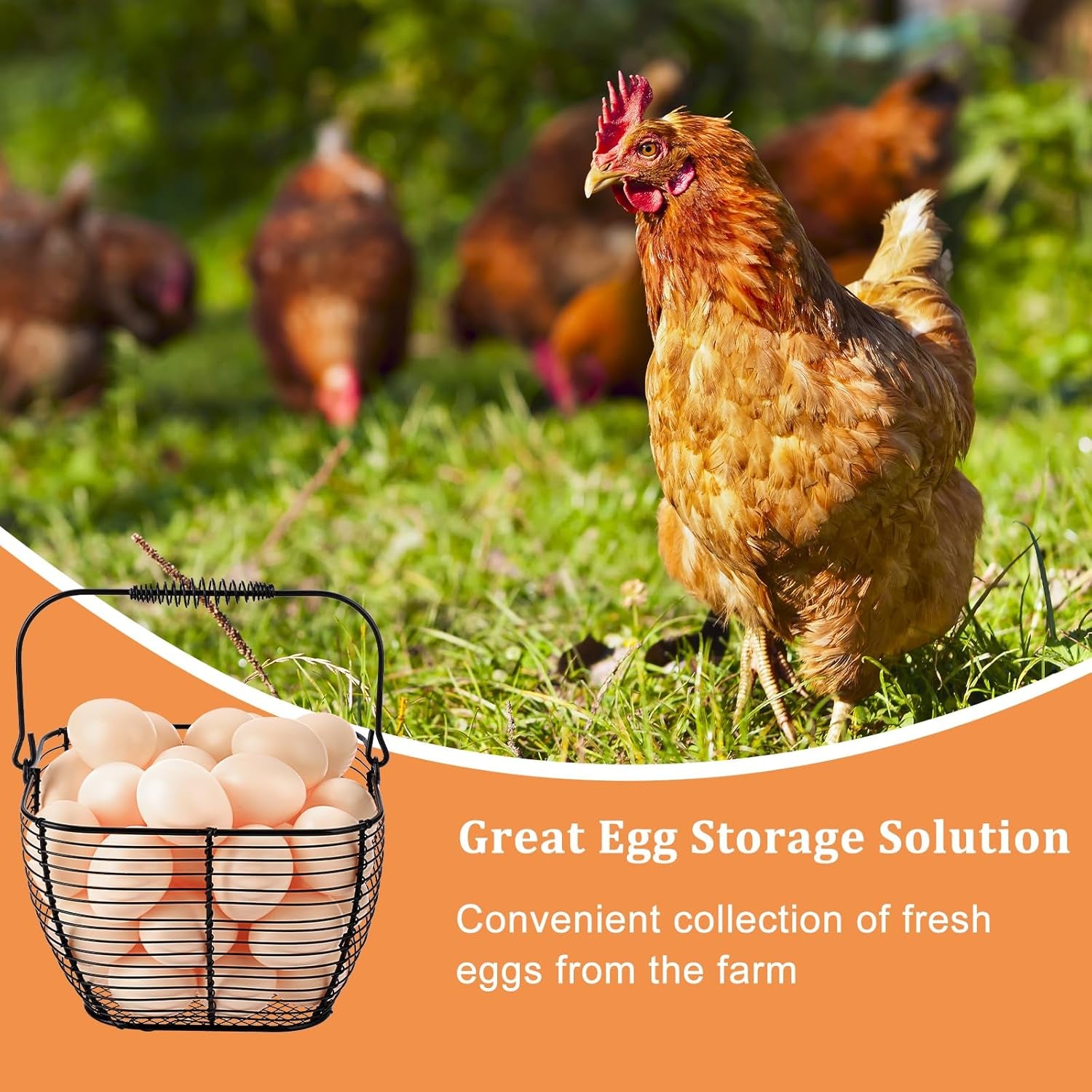 Set of 2 Black Square Wire Egg Baskets with Handles - Ideal for Collecting Fresh Chicken and Duck Eggs, Countertop Storage Solution