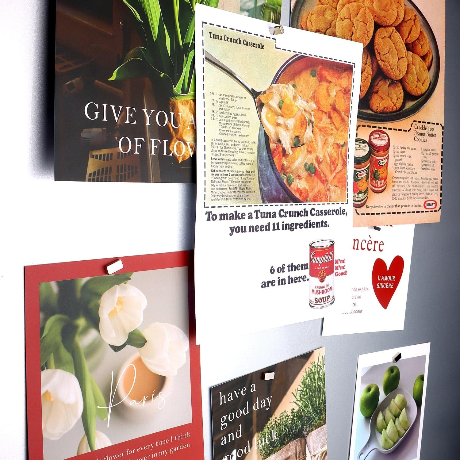 60Pack Rectangular Magnets - Bar, Square, Mini, Tiny & Small Magnets for Crafts & Collar Stays