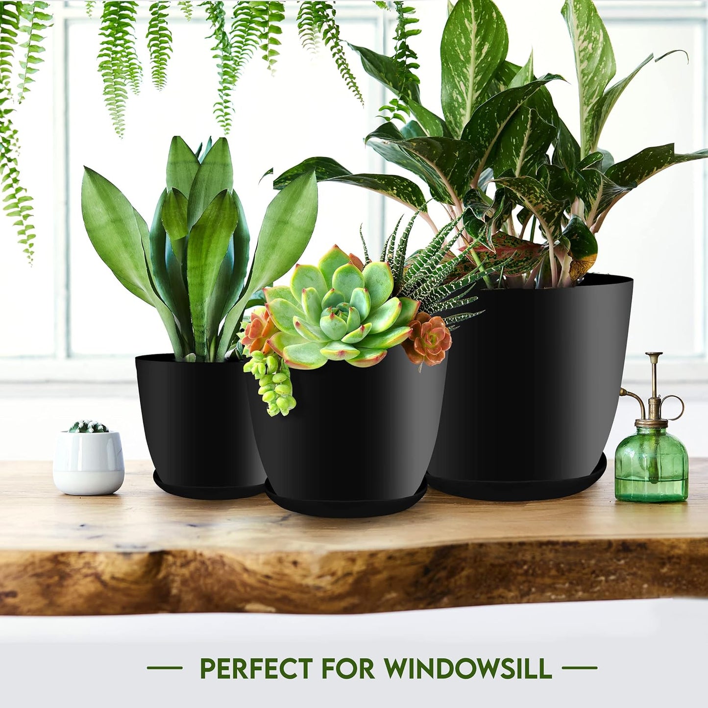 - Plant Pots Indoor with Drainage - 7/6.6/6/5.3/4.8 Inches Flower Pots for Indoor Planter - 5 Pack Plastic Planters - Ideal for Stocking Stuffers or Home Christmas Decorations - Black