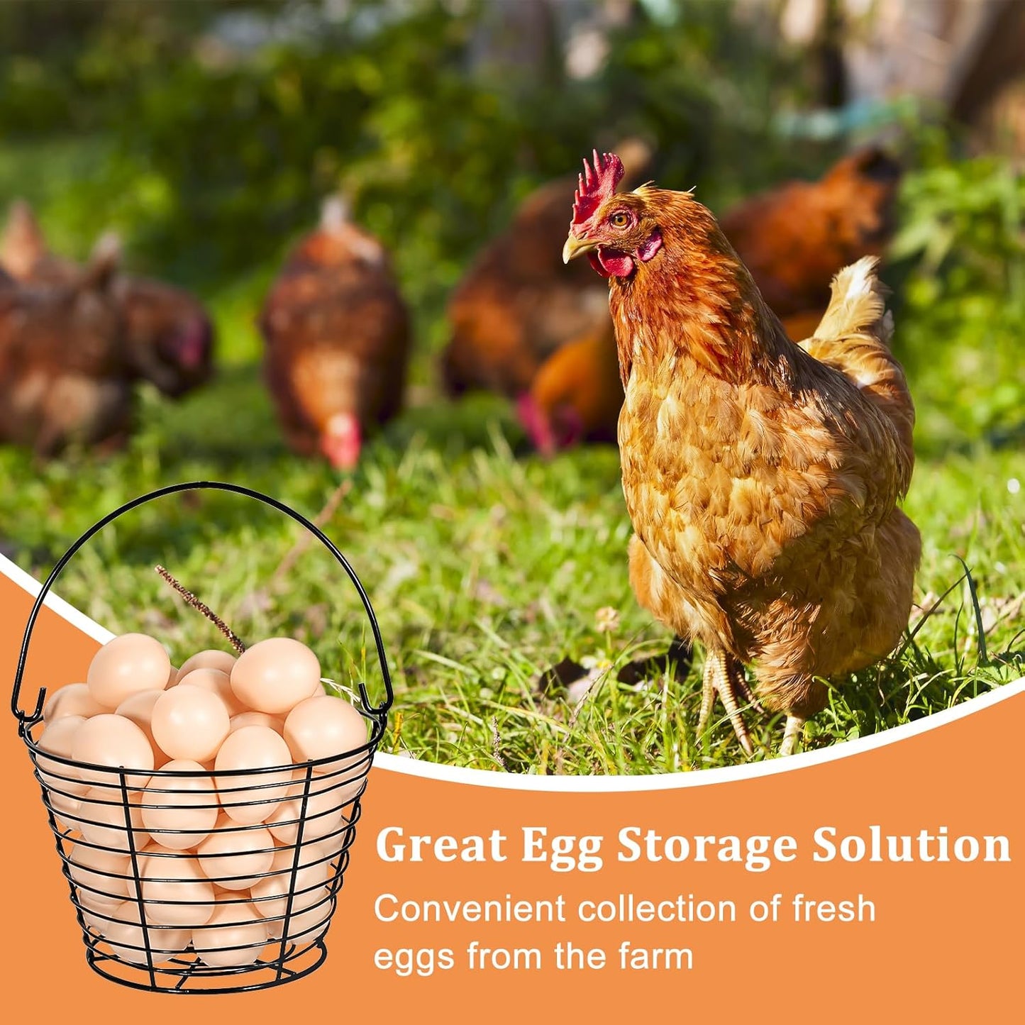 Set of 3 Black 8-Inch Round Wire Egg Baskets with Handle for Collecting Fresh Chicken and Duck Eggs, Ideal Countertop Storage Solution