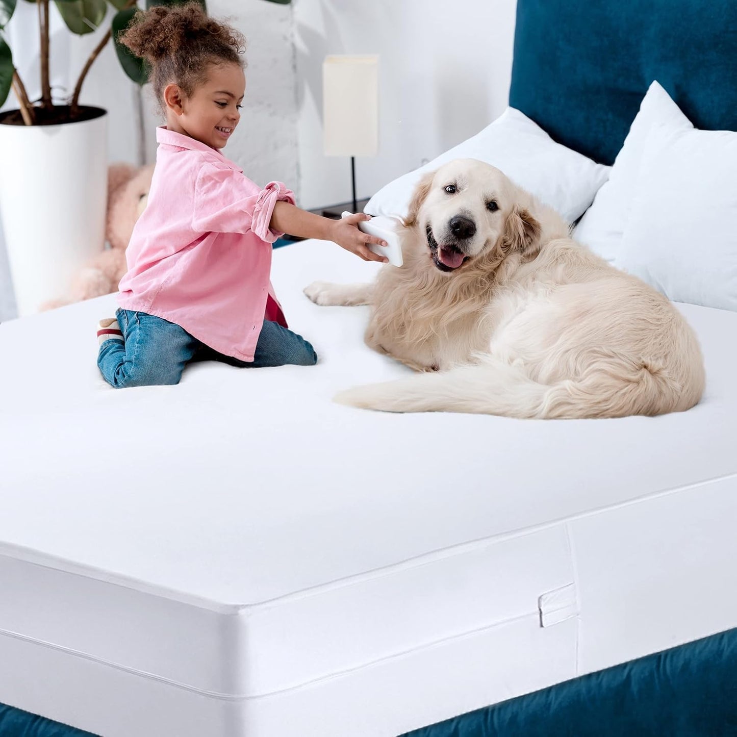 Zippered Mattress Encasement Queen, 100% Waterproof Bed Bug and Dust Mite Proof Mattress Protector, Absorbent Six-Sided Mattress Cover