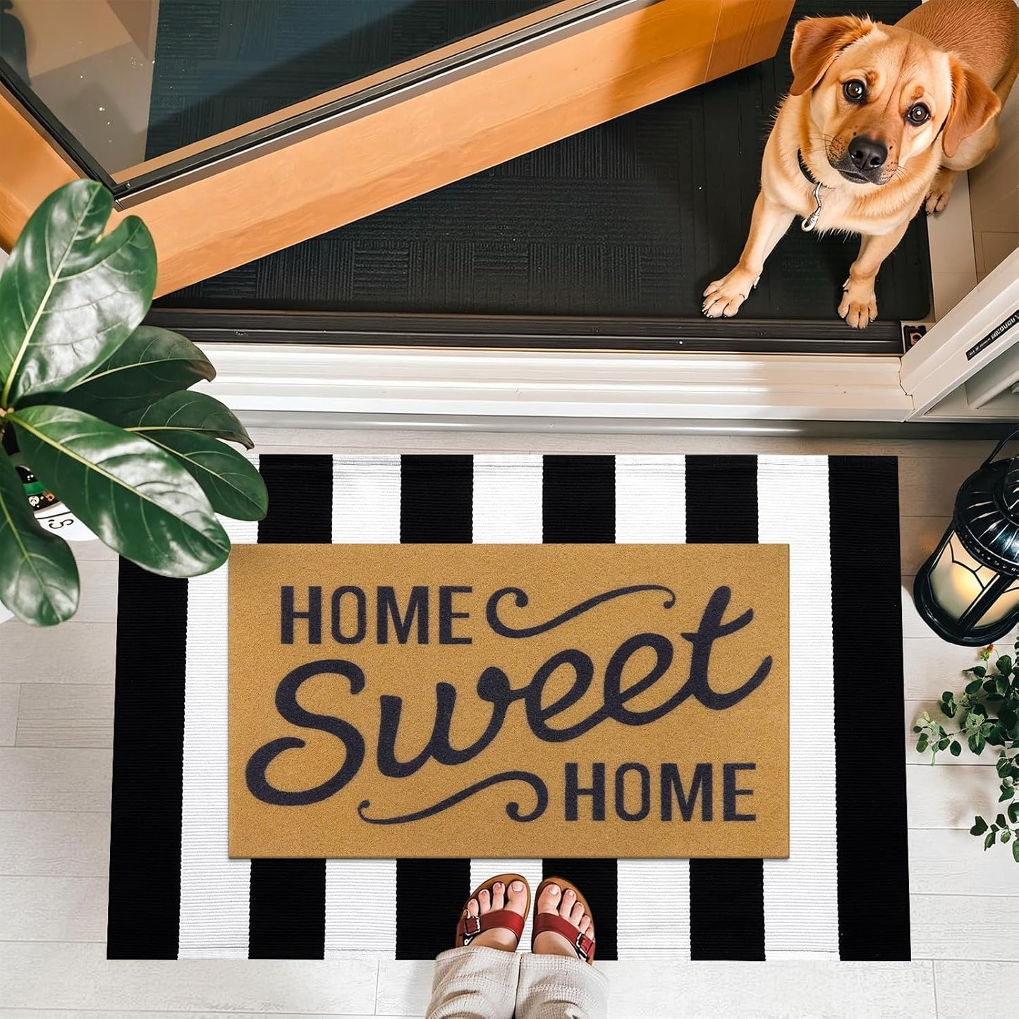 Front Door Mat, Low Profile Welcome Doormat for Home, Stain and Fade Resistant, Easy to Clean, for Indoor and Outdoor Entrances, Porch or Entryway, 30X17 Inch, Brown