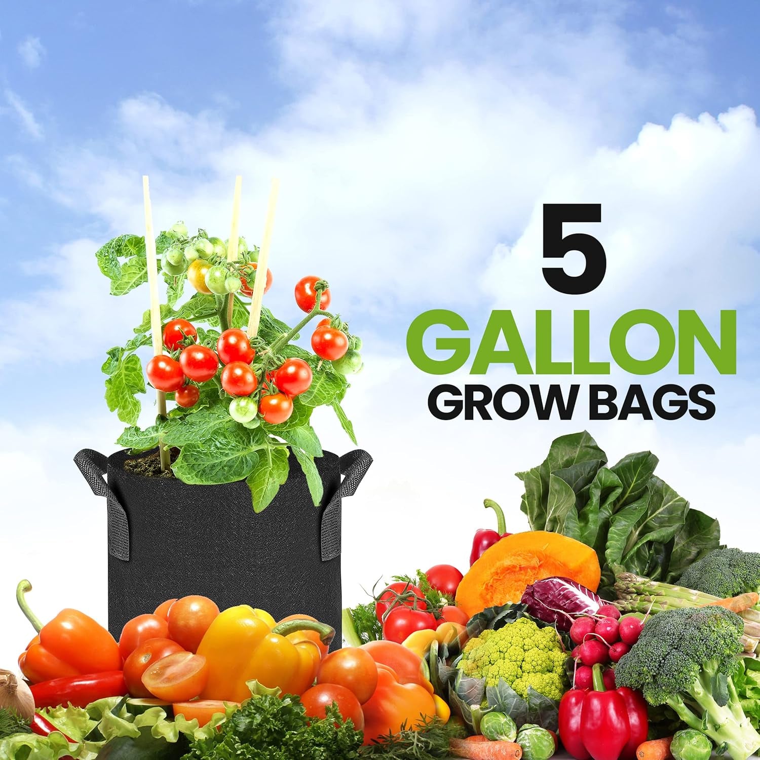 5 Pack 5 Gallon Grow Bags, 300G Thickened Nonwoven Plant Fabric Pots for Outdoor, Grow Pots, Garden Plant Bags, Aeration Fabric Planters for Fruits, Vegetables and Flowers