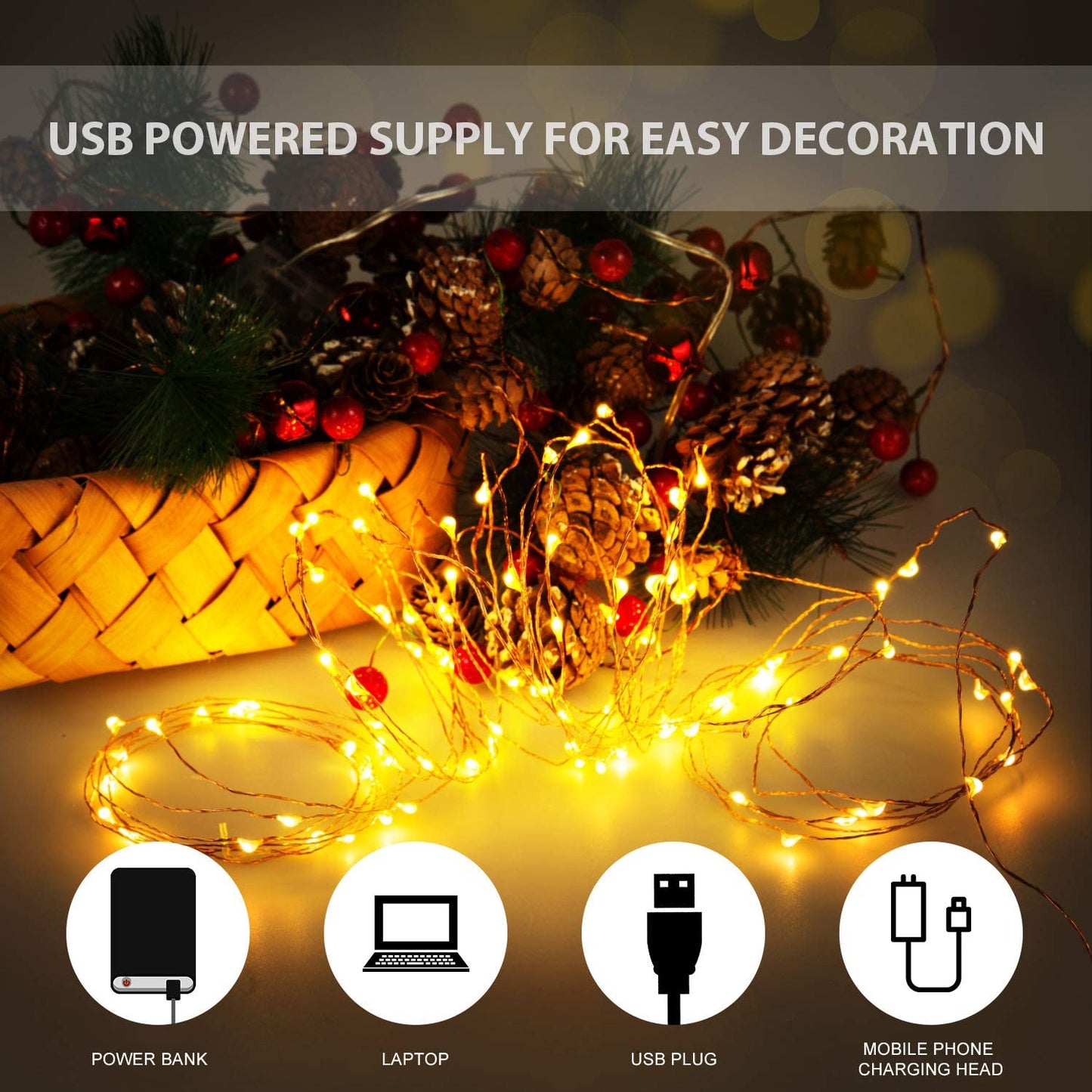 USB LED Fairy String Light, 1 Pack Copper Wire Fairy Lights for Indoor, Bedroom Festival Christmas Wedding Party Patio Decorative Window with USB Interface (16Ft./5M,Warm White)