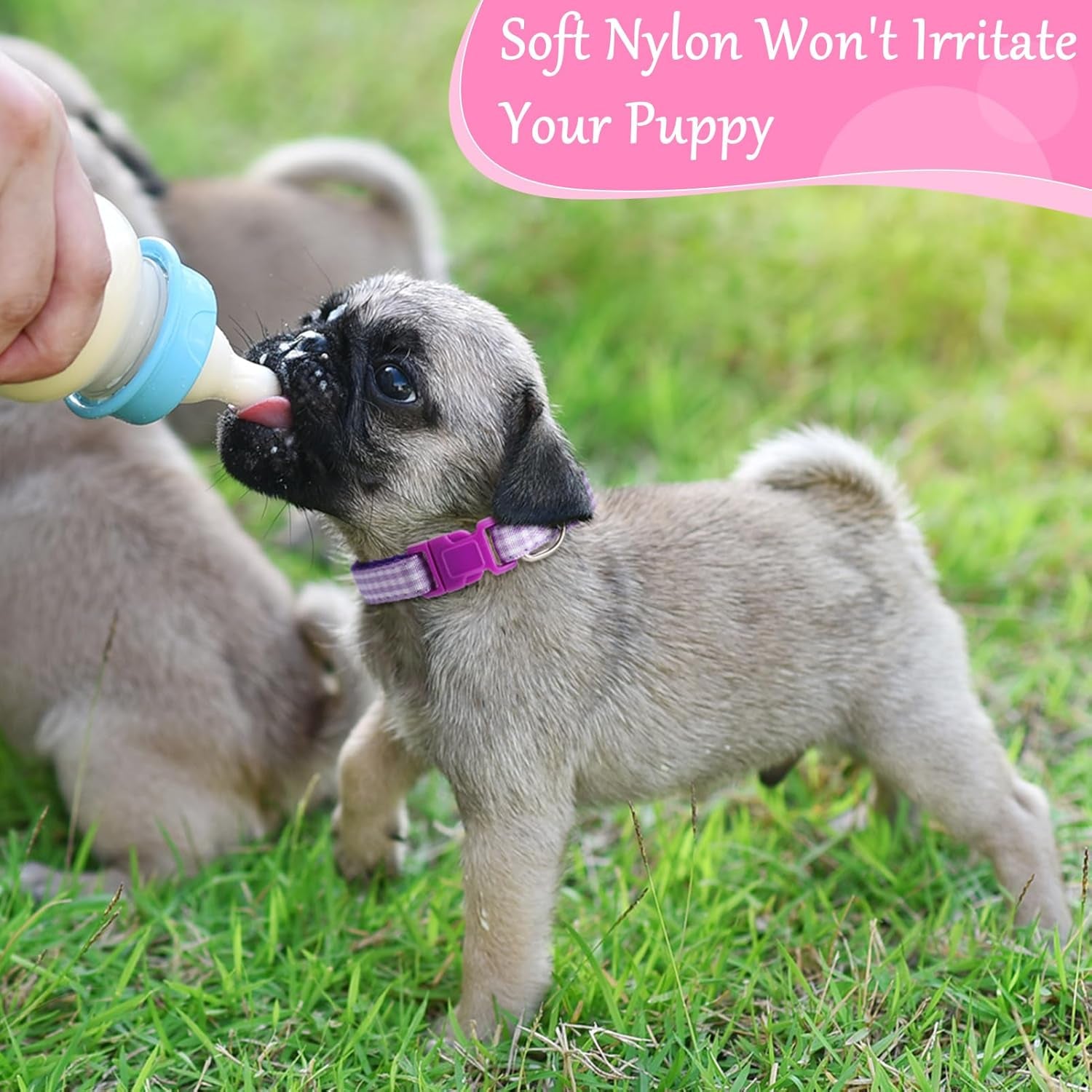 14Pcs Puppy Collars for Litter Adjustable Whelping Puppy Collars Soft Nylon Id Collars for Small Dogs(Medium)