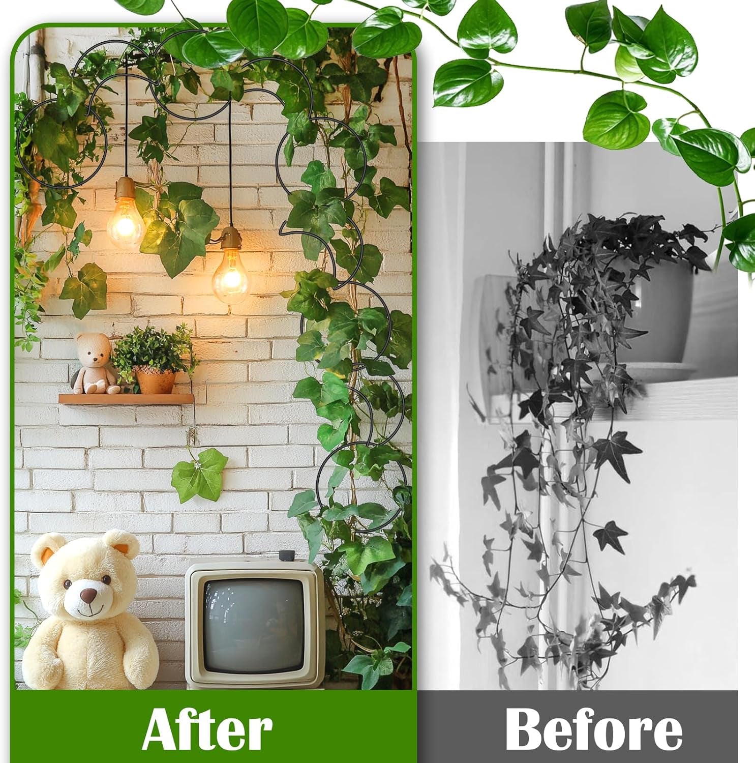18 Pcs Chain Trellis for Climbing Plants Indoor Outdoor,Wall Plant Vine Climbing Support for Potted Plants,Houseplant Accessorie for Climbing Plants Pertains to Monstera,Pothos,Ivy,Wisteria