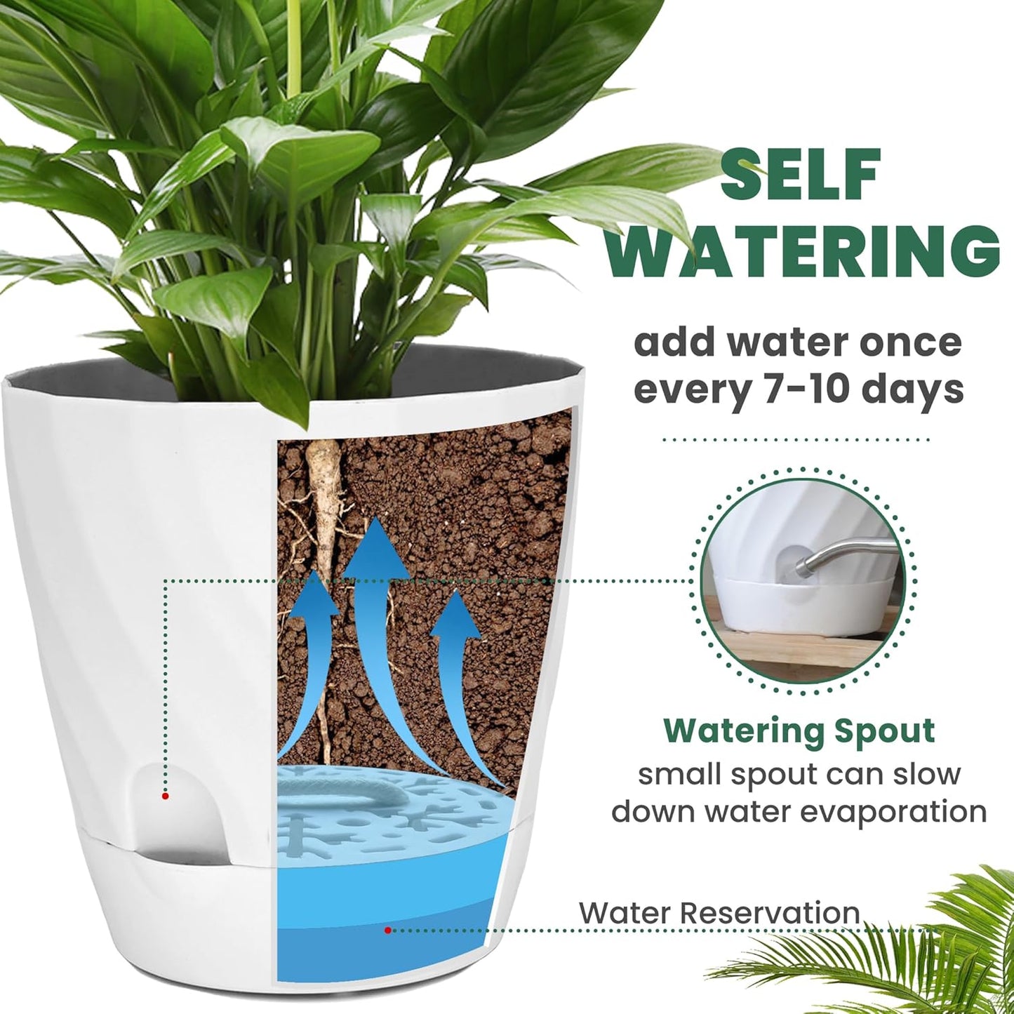 Plant Pots with Drainage, Self Watering Pots for Indoor Plants, Home Decor Flower Planters, 4 Pack 6 Inch Plastic Planters Succulent Pots, White