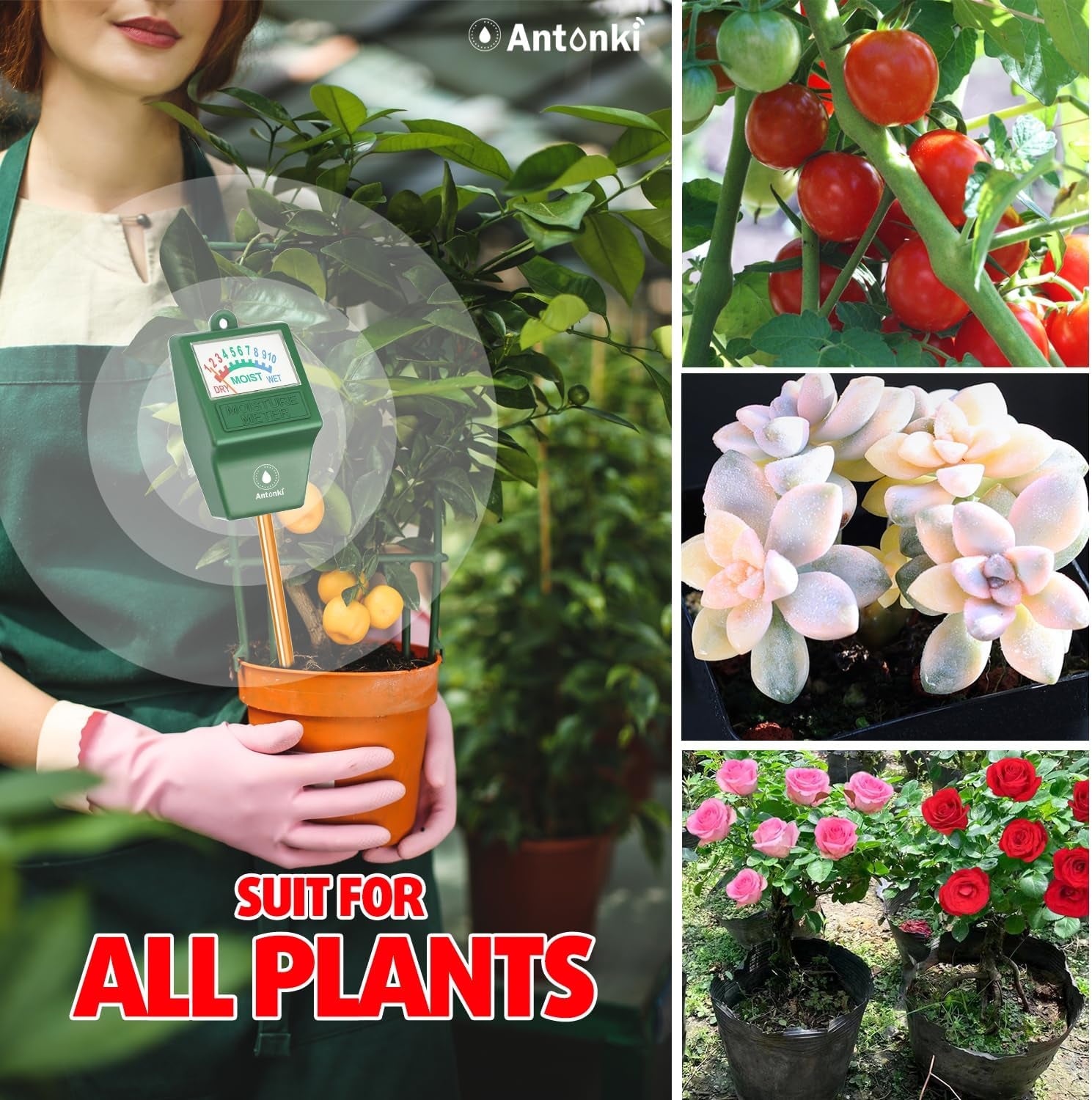 2 Pack Soil Moisture Meter, Plant Water Monitor Hygrometer Sensor, Soil Water Tester Kit for Outdoor and Indoor Potted Plants, Flower, Gardening, Farming - No Battery Required