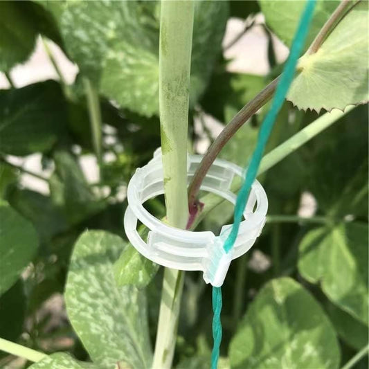 ® 300Pcs Tomato Clips, Plastic Trellis Clips, Plant Support Clips, Grape Vine Tomato Vine Vegetables Plants Garden Support Clips to Grow Upright Makes Plants Healthier