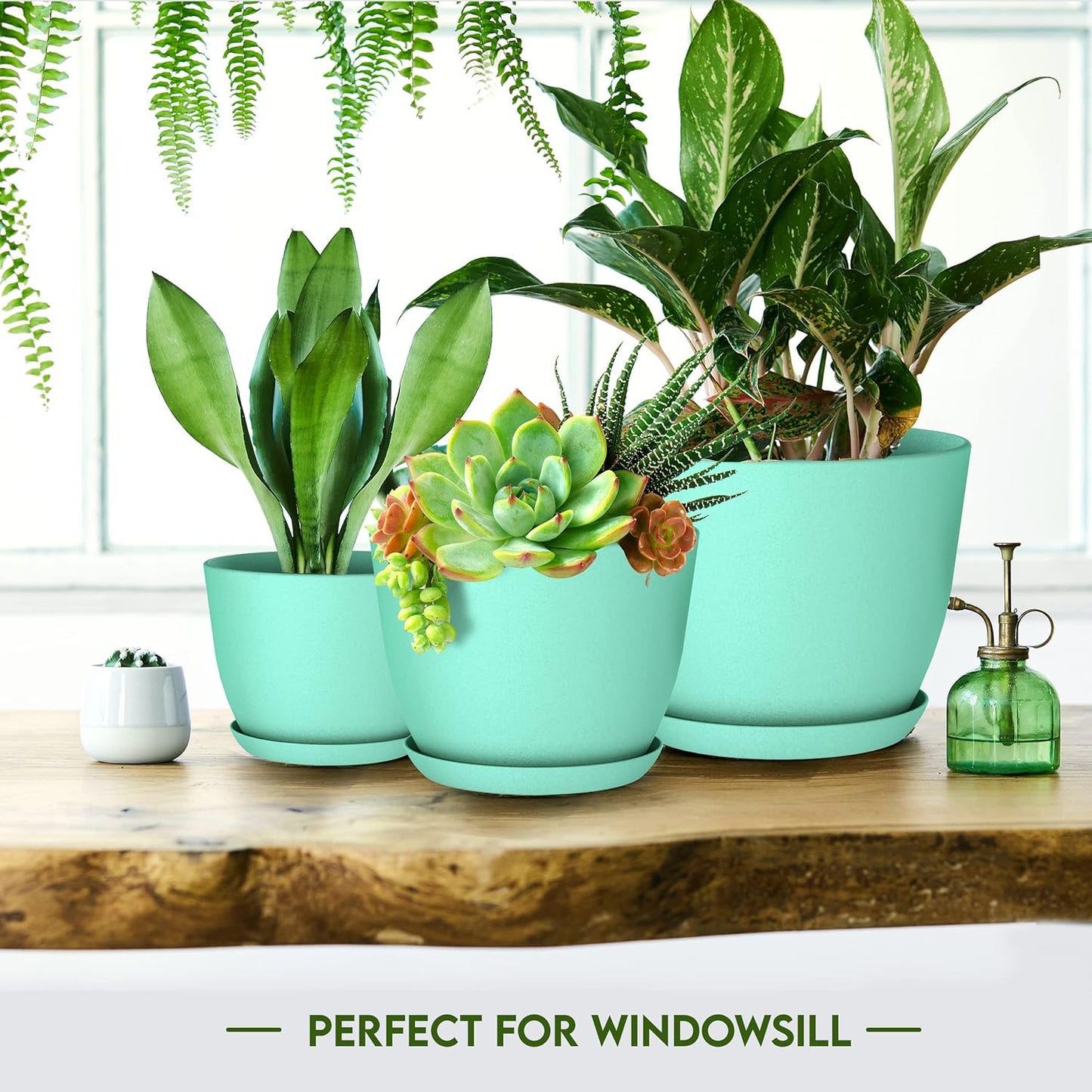 - Plant Pots Indoor with Drainage - 7/6.6/6/5.3/4.8 Inches Flower Pots for Indoor Planter - 5 Pack Plastic Planters - Ideal for Stocking Stuffers or Home Christmas Decorations - Aqua