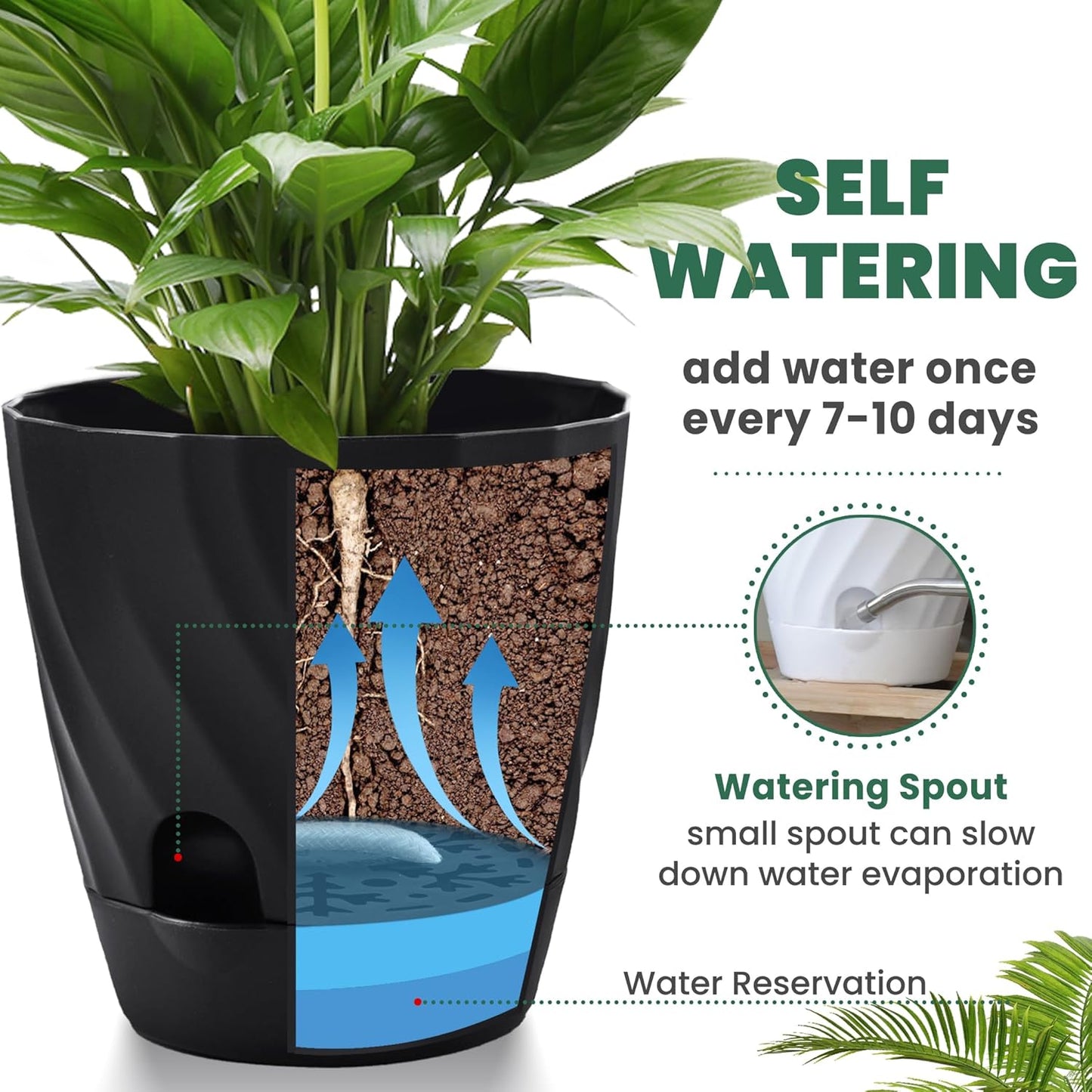 Plant Pots with Drainage, Self Watering Pots for Indoor Plants, Home Decor Flower Planters, 4 Pack 6 Inch Plastic Planters Succulent Pots, Black