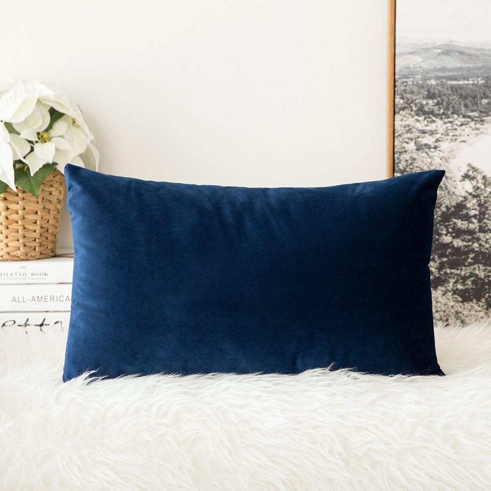 Velvet Soft Soild Decorative Square Throw Pillow Cover and Throw Pillow Insert Hypoallergenic Premium Pillow 12 X 20 Inch 30 X 50 Cm Dark Blue
