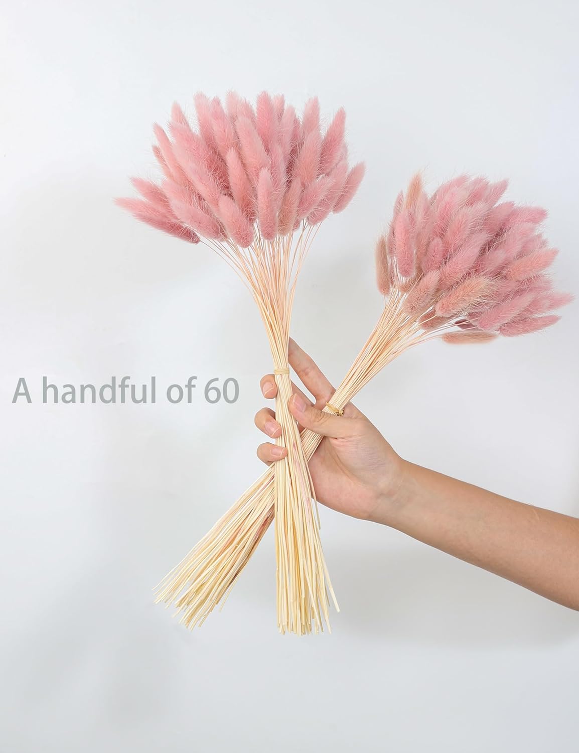 120Pcs Dried Rabbit Tails, Dusty Pink Bunny Tails, Natural Bulk Dried Flowers for DIY Bohemian Wedding Rustic Party Decorations, Garlands, Cake Decorations. (Dusty Pink)