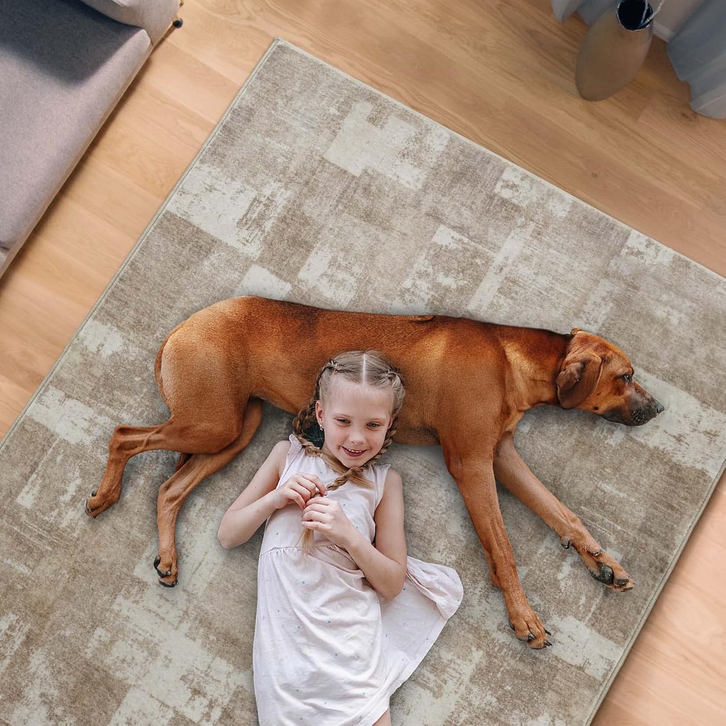 Area Rug Living Room Rugs: 5X7 Indoor Soft Small Low Pile Carpet Abstract Decor Large Washable for Bedroom Dining Room under Kitchen Table Home Office - Beige/Ivory