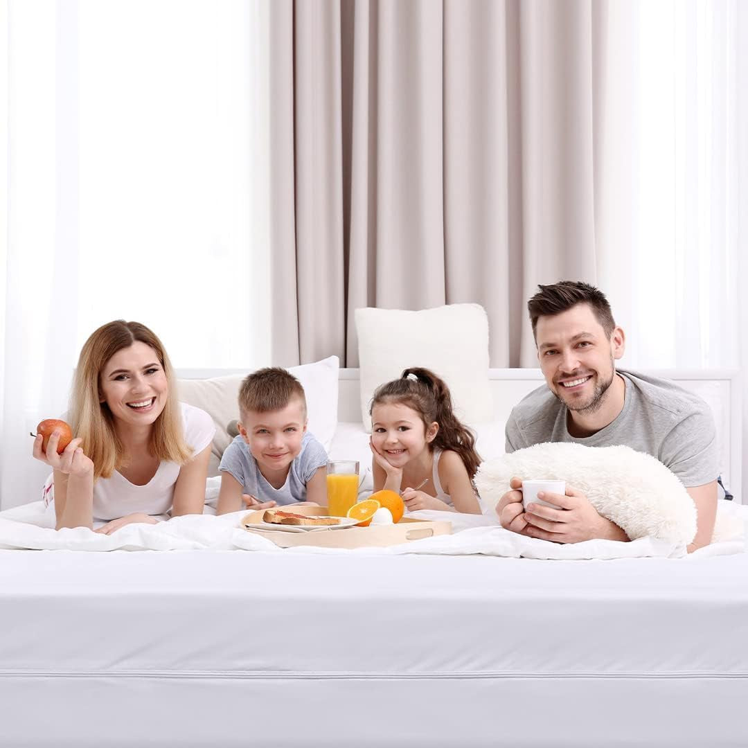 Zippered Mattress Encasement Queen, 100% Waterproof Bed Bug and Dust Mite Proof Mattress Protector, Absorbent Six-Sided Mattress Cover