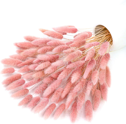 120Pcs Dried Rabbit Tails, Dusty Pink Bunny Tails, Natural Bulk Dried Flowers for DIY Bohemian Wedding Rustic Party Decorations, Garlands, Cake Decorations. (Dusty Pink)
