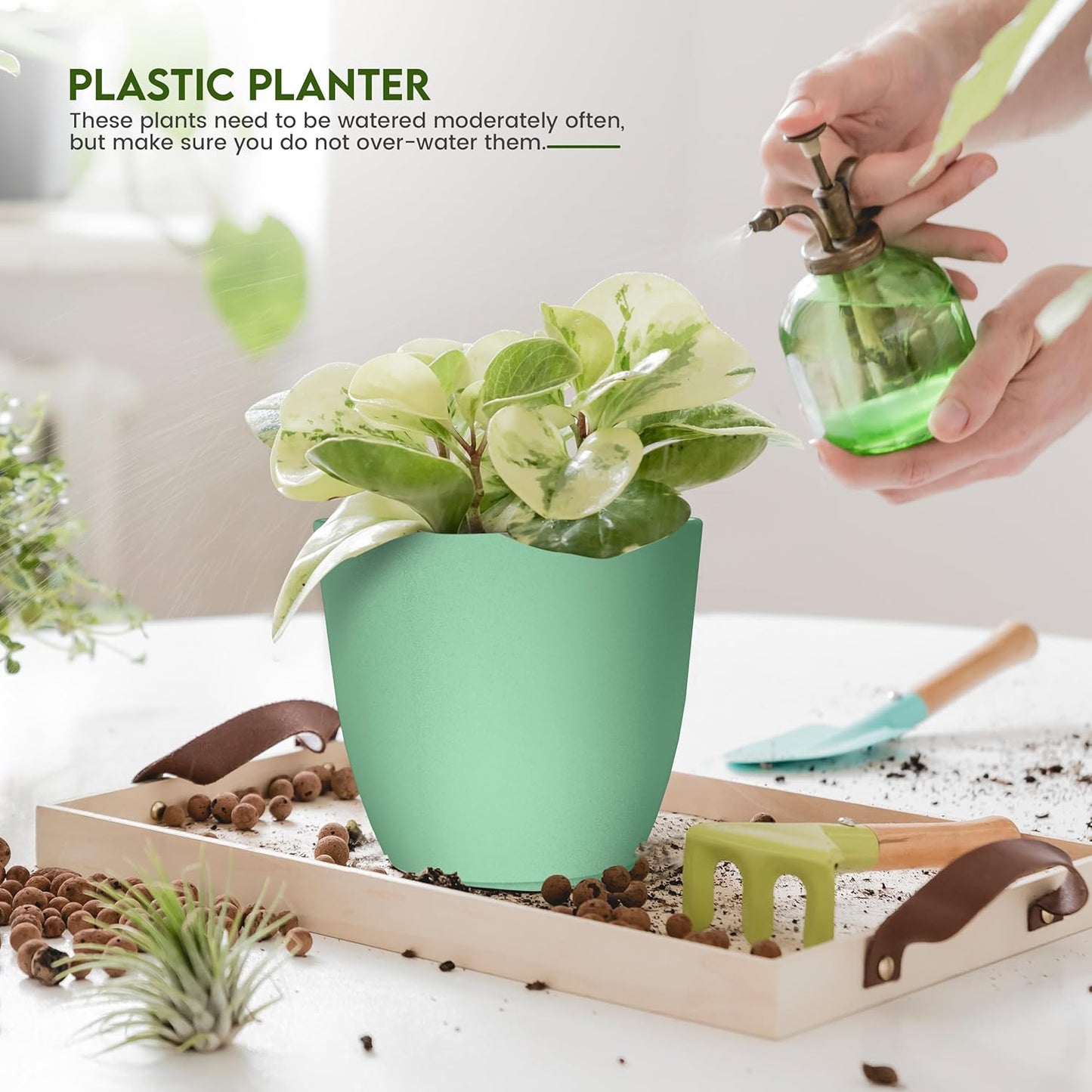 - Plant Pots Indoor with Drainage - 7/6.6/6/5.3/4.8 Inches Home Decor Flower Pots for Indoor Planter - Pack of 5 Plastic Planters for Indoor Plants, Cactus, Succulents Pot - Mint