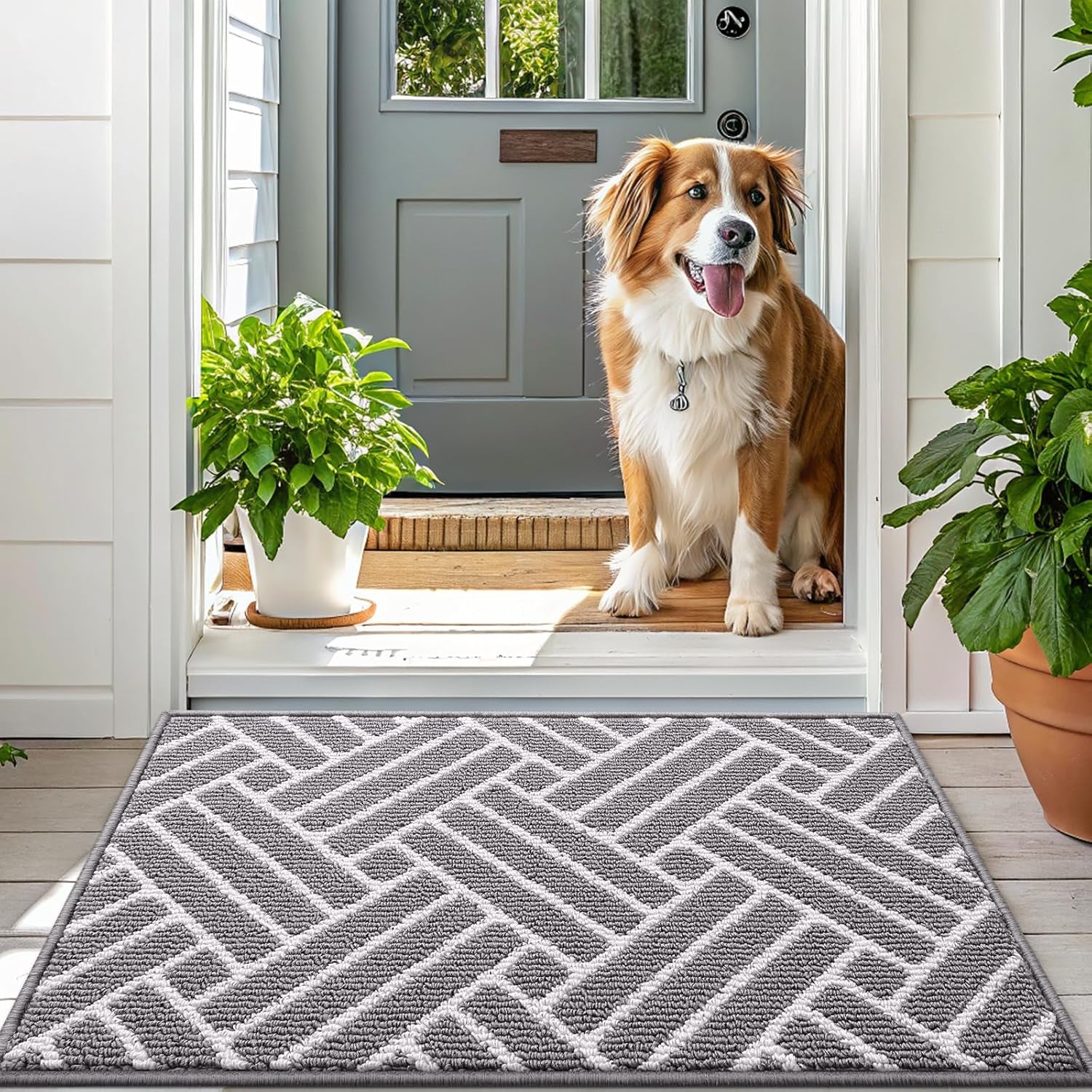 Indoor Door Mat, 32X20 Inch, Dirt Resistant and Absorbent, Non-Slip Rubber Backing Floor Mats, Easy Clean Low-Profile Doormat for Entryway, Front Door, and inside Entrance, Grey