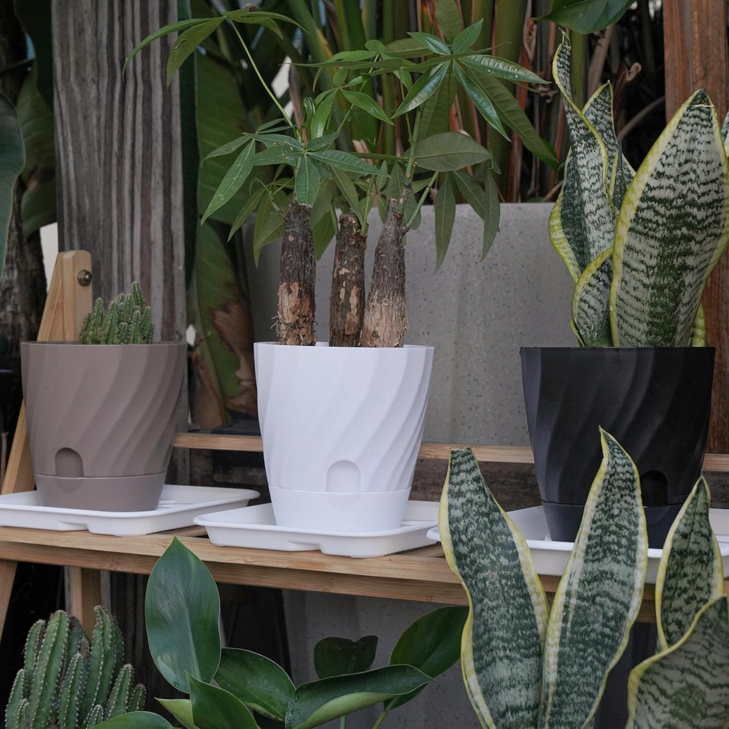 Plant Pots with Drainage, Self Watering Pots for Indoor Plants, Home Decor Flower Planters, 4 Pack 6 Inch Plastic Planters Succulent Pots, Black