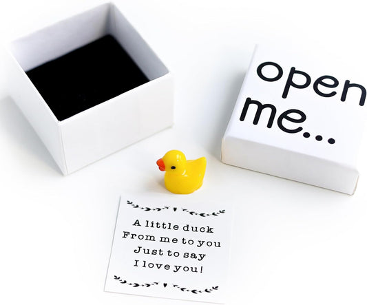 I Love You Gift, Duck Gift, Matchbox Gift, Gift for Boyfriend, Gift for Girlfriend, Valentine'S Day Gift