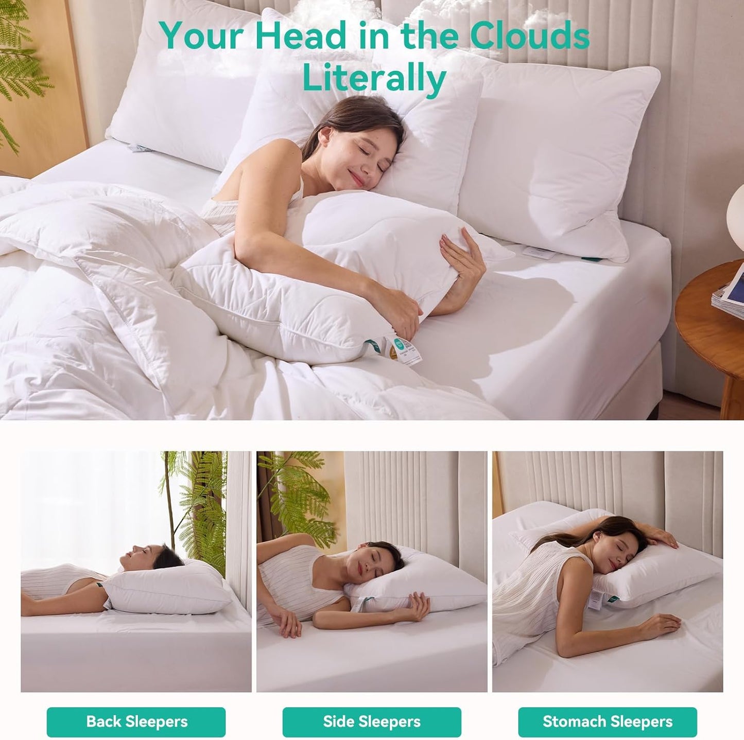 Queen Size Set of 2 White Goose Feather Down Pillows - 100% Cotton, Medium Firmness, Soft Support