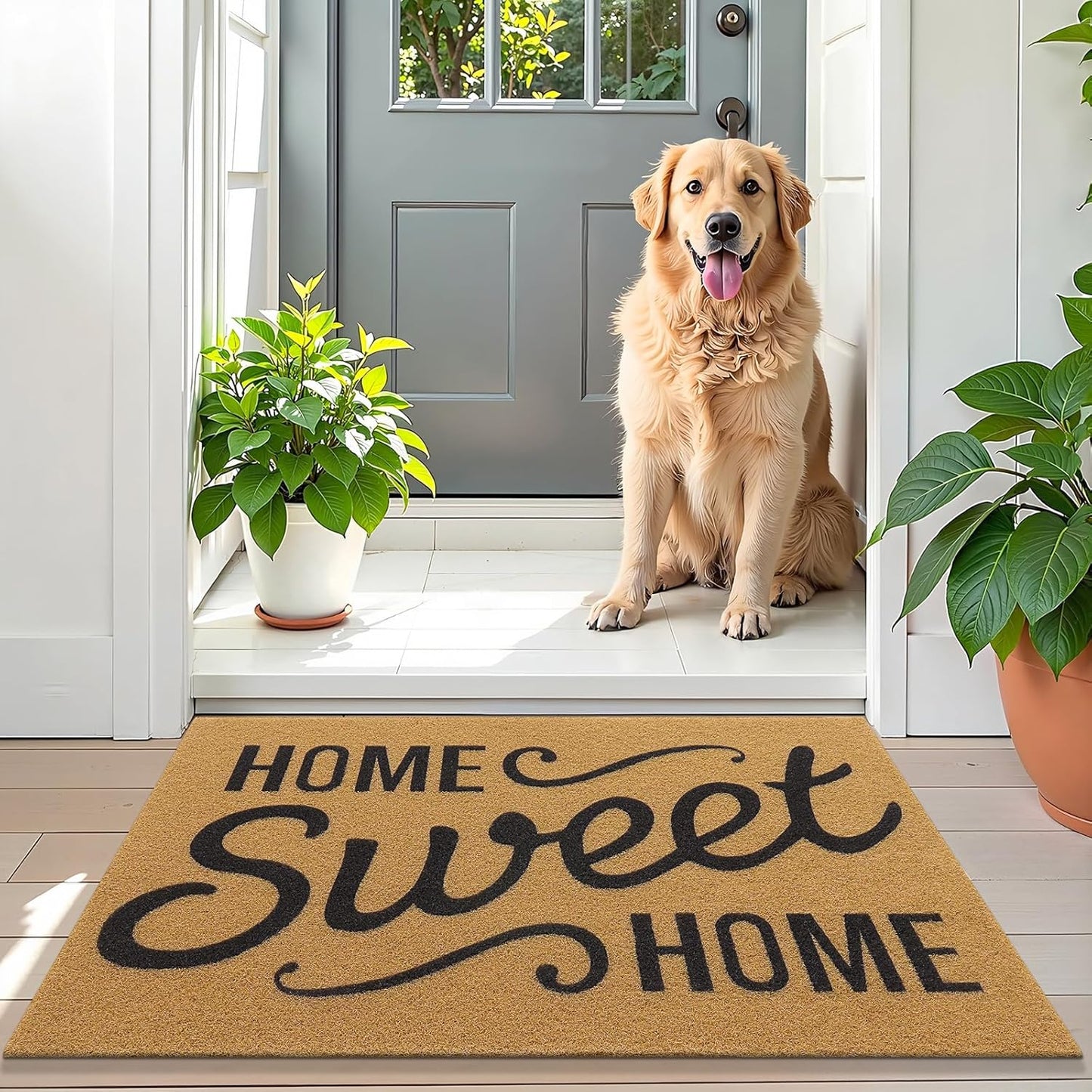 Front Door Mat, Low Profile Welcome Doormat for Home, Stain and Fade Resistant, Easy to Clean, for Indoor and Outdoor Entrances, Porch or Entryway, 30X17 Inch, Brown