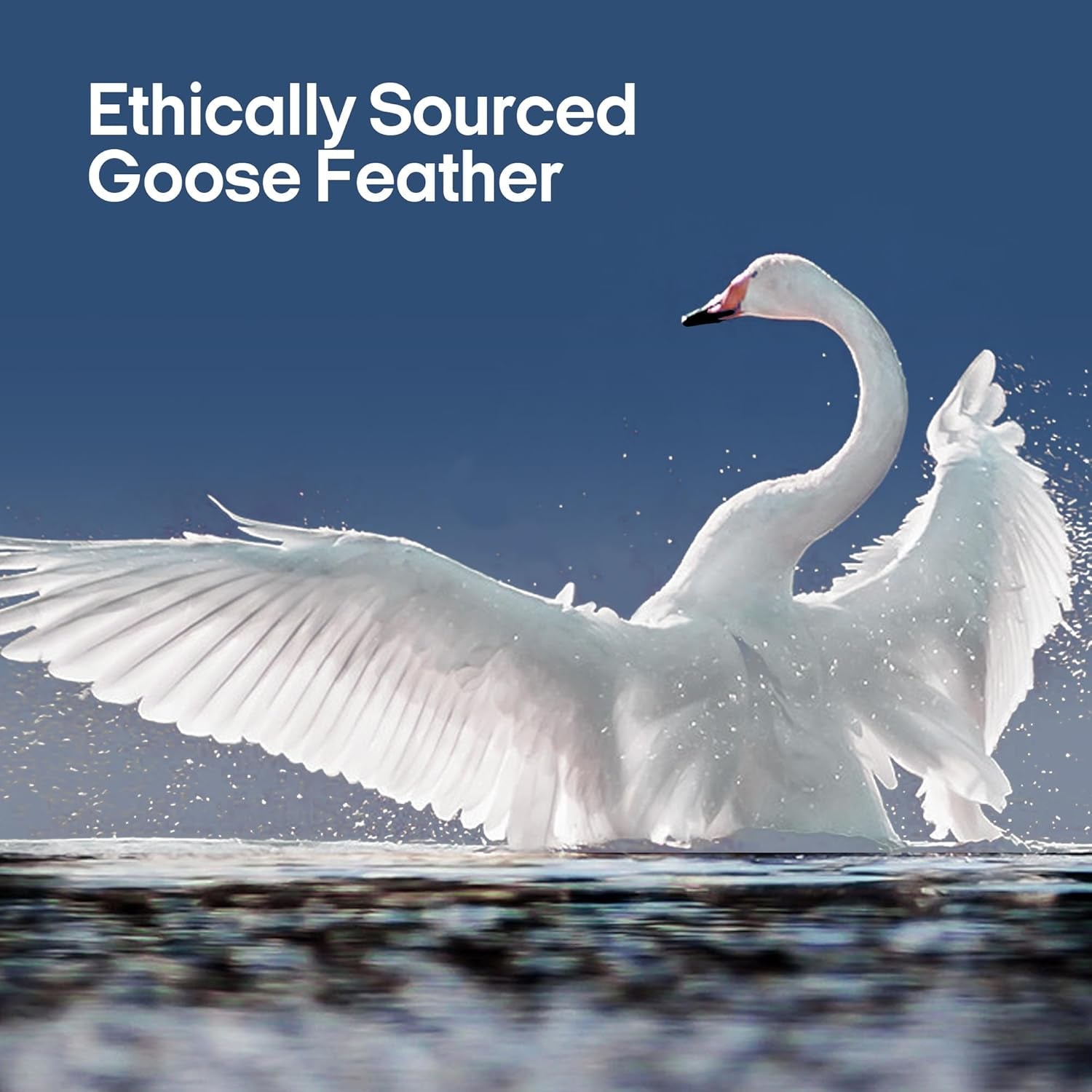 ® Goose Feathers and down Pillows, Bed Pillows with 100% Cotton Cover, 2 Pack, King Size, 20X36 Inches
