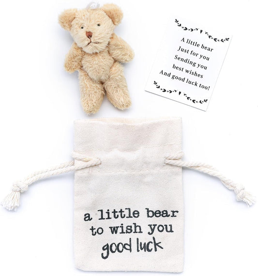 Good Luck Gift, Pocket Bear, Lucky Souvenir Gift, Miss You Gift, Gifts of Encouragement, Good Luck in Exams,Congratulations Graduation Gift.