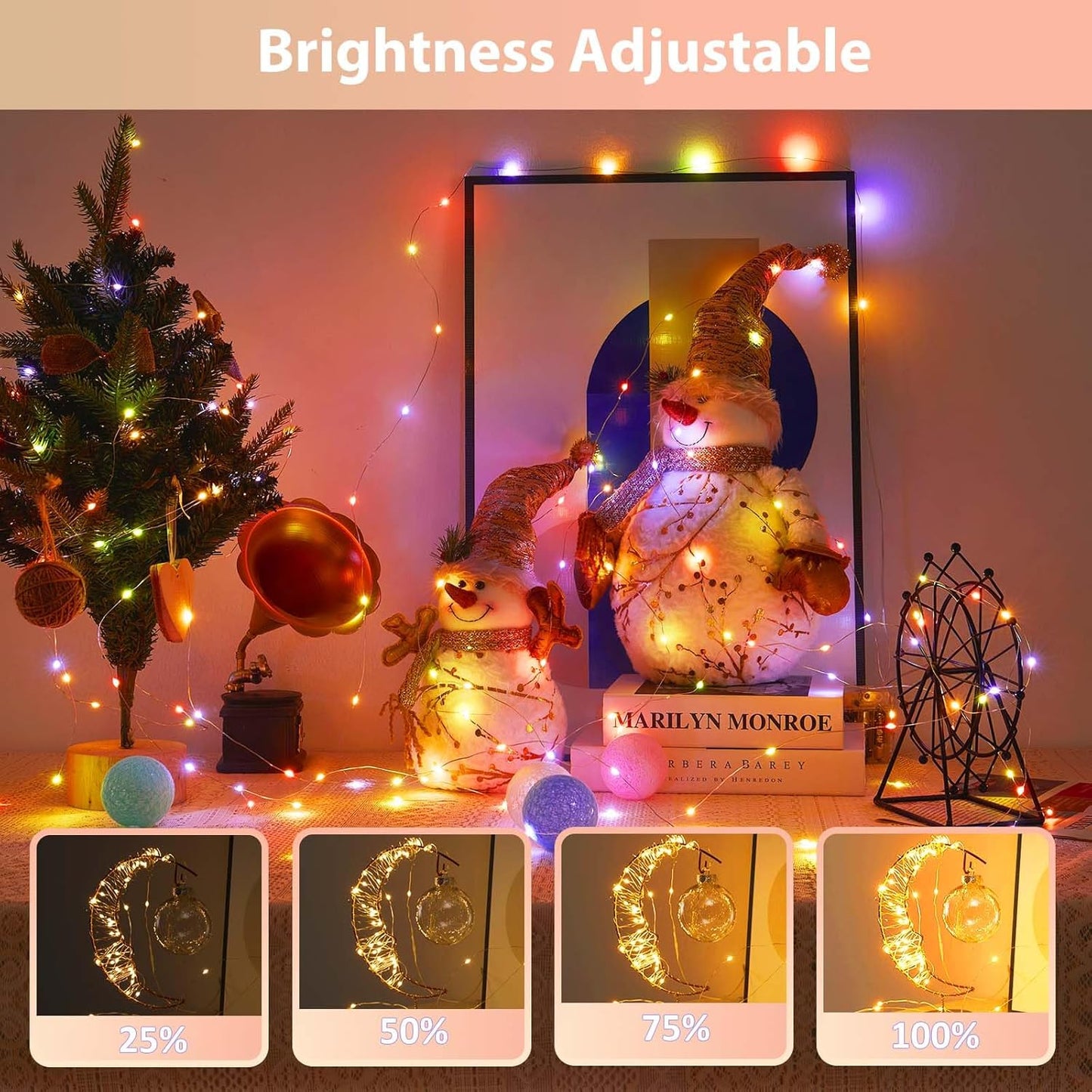1 Pack Warm White & Multi-Color Battery Operated String Lights, 5M/16.4Ft. 50 Leds Remote Control Timer 12 Modes Optional Twinkle Battery Powered Fairy Lights Sliver Wire Firefly Lights