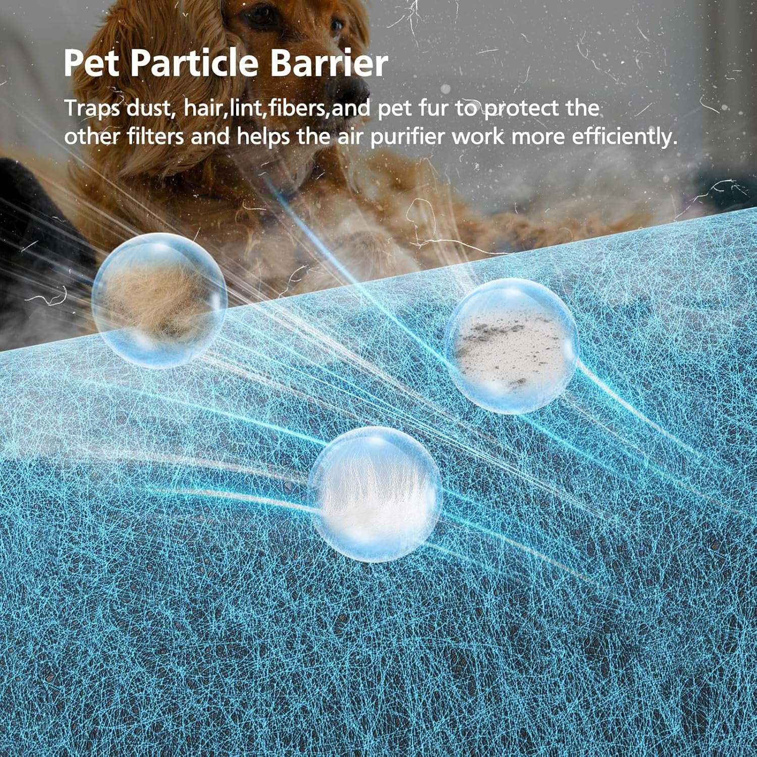 HP072 Replacement Filter for Shark Neverchange Compact Pro Air Purifier - Advanced HEPA Filtration for Pet Dander, Dust, Smoke, and Allergens, Coverage up to 250 Sq. Ft.