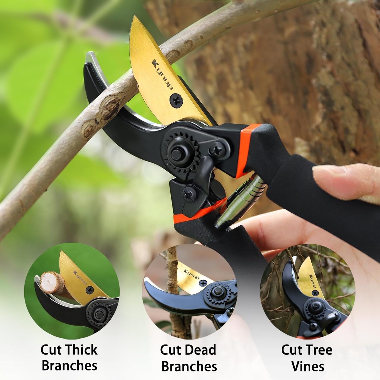 3Pack Pruning Shears, Garden Shears, Pruning Shears for Gardening, Gardening Shears Scissors Clippers, Garden Tools Set with Gloves, Stainless Steel, Soft Grip Handle