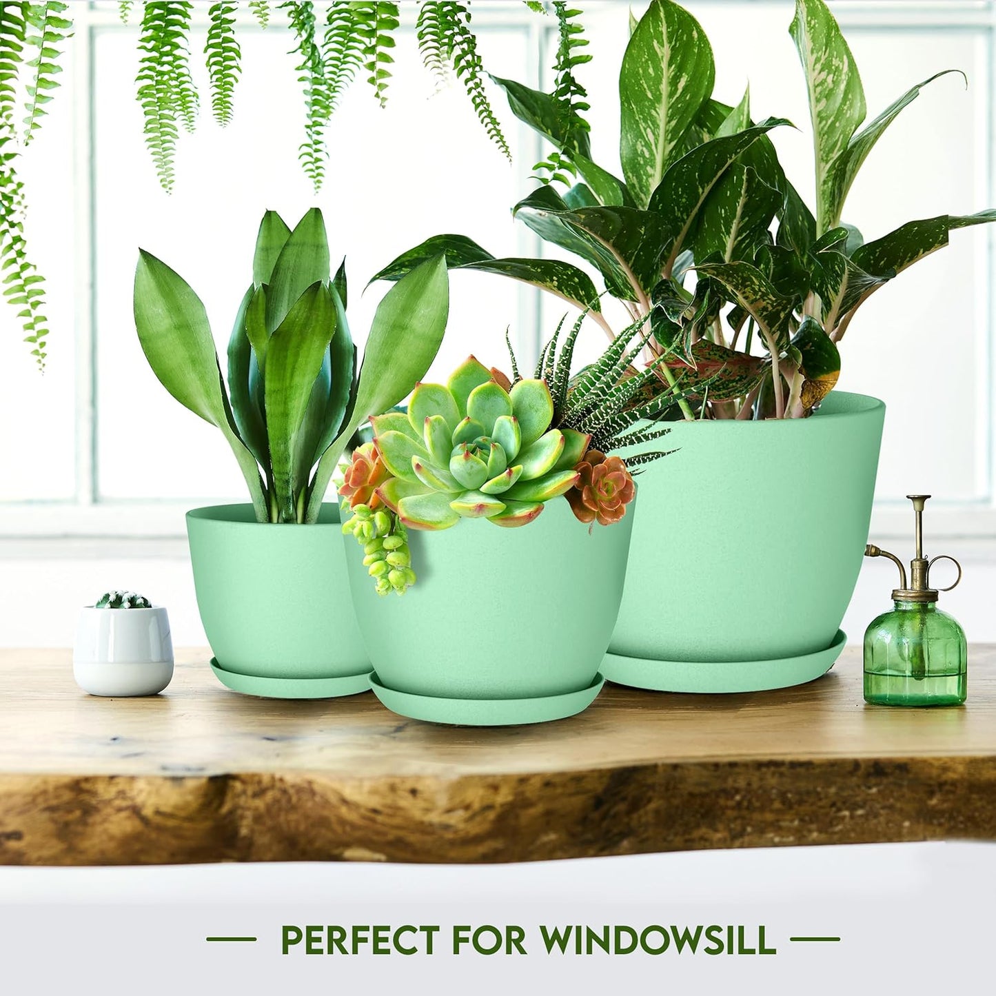 - Plant Pots Indoor with Drainage - 7/6.6/6/5.3/4.8 Inches Home Decor Flower Pots for Indoor Planter - Pack of 5 Plastic Planters for Indoor Plants, Cactus, Succulents Pot - Mint
