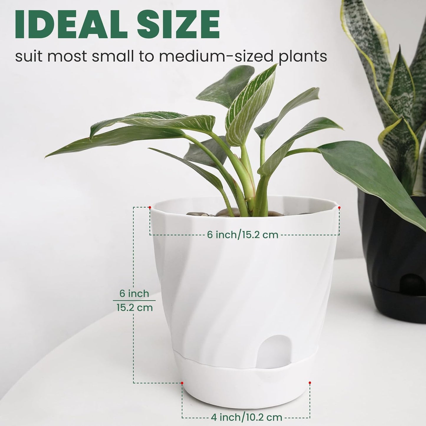 Plant Pots with Drainage, Self Watering Pots for Indoor Plants, Home Decor Flower Planters, 4 Pack 6 Inch Plastic Planters Succulent Pots, Black