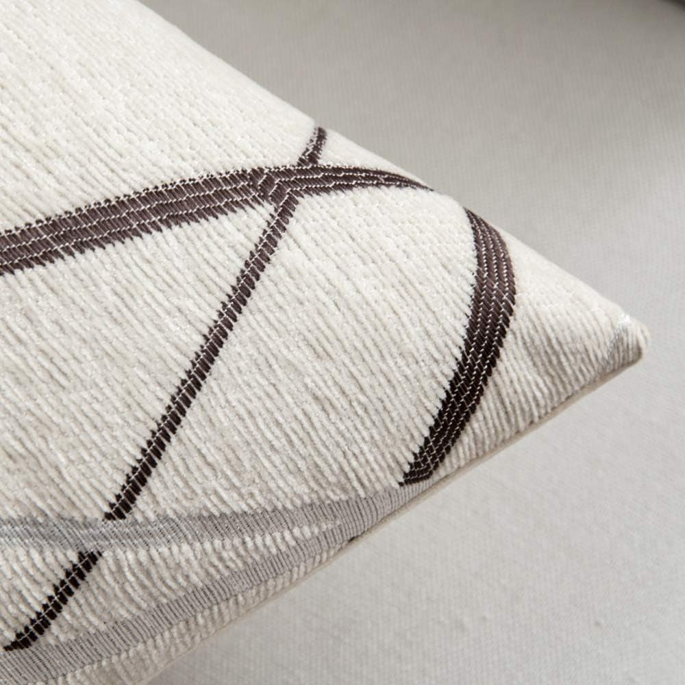 Pack of 2 Decorative Throw Pillow Covers Cute Woven Textured Chenille Cozy Modern Concise Soft Beige Square Cushion Shams for Bedroom Sofa Car 18 X 18 Inch