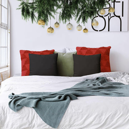 Throw Pillows Insert (Pack of 2, Black) - 18 X 18 Inches Bed and Couch Pillows - Indoor Decorative Pillow