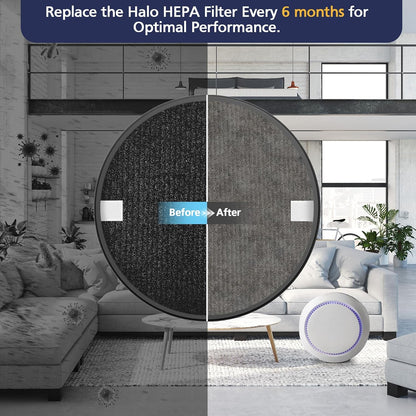 4 Pack Halo HEPA Replacement Filter, Compatible with Pure Enrichment Purezone Halo Air Puri-Fier Model PEAIRDSK, 2-In-1 HEPA Filters and Activated-Carbon Pre-Filters