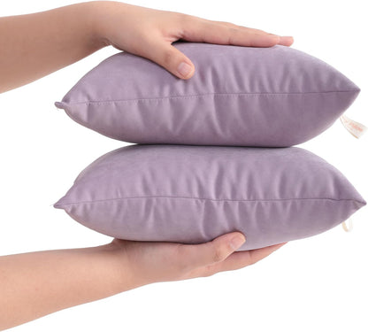 2 Pack Microfiber Tiny Pillows - 11X7 Inches, Soft Small Pillows for Sleeping, Traveling, and Napping in Lavender