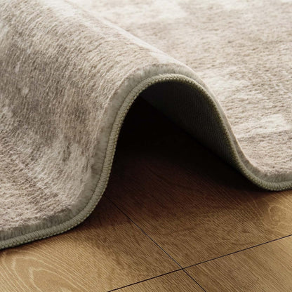 Area Rug Living Room Rugs: 5X7 Indoor Soft Small Low Pile Carpet Abstract Decor Large Washable for Bedroom Dining Room under Kitchen Table Home Office - Beige/Ivory