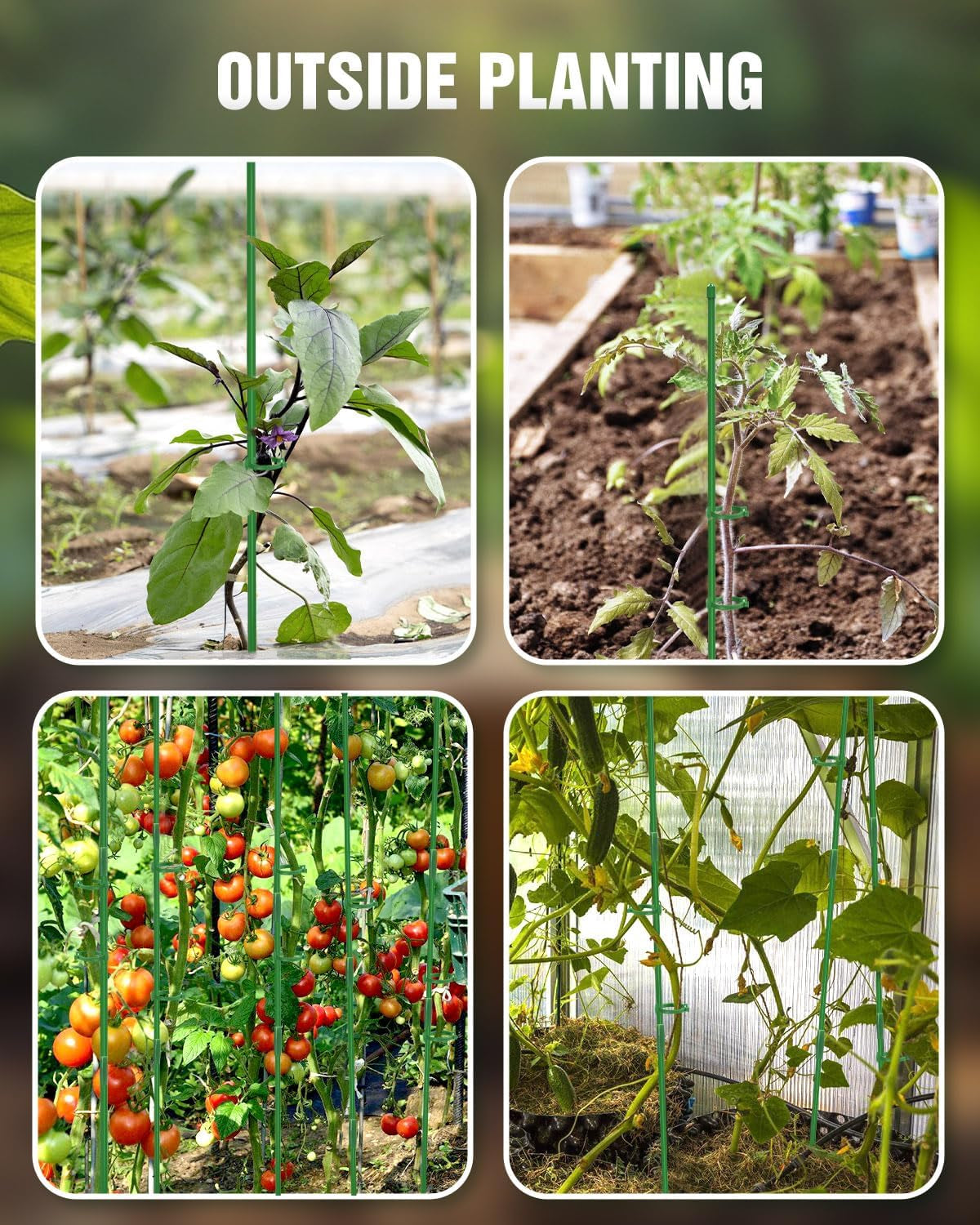 20 Pack Plant Stakes for Indoor Plants, 16 Inch Garden Stakes, Adjustable Plant Support Sticks for Tall Plants as Tomatoes Beans Orchid Vegetable