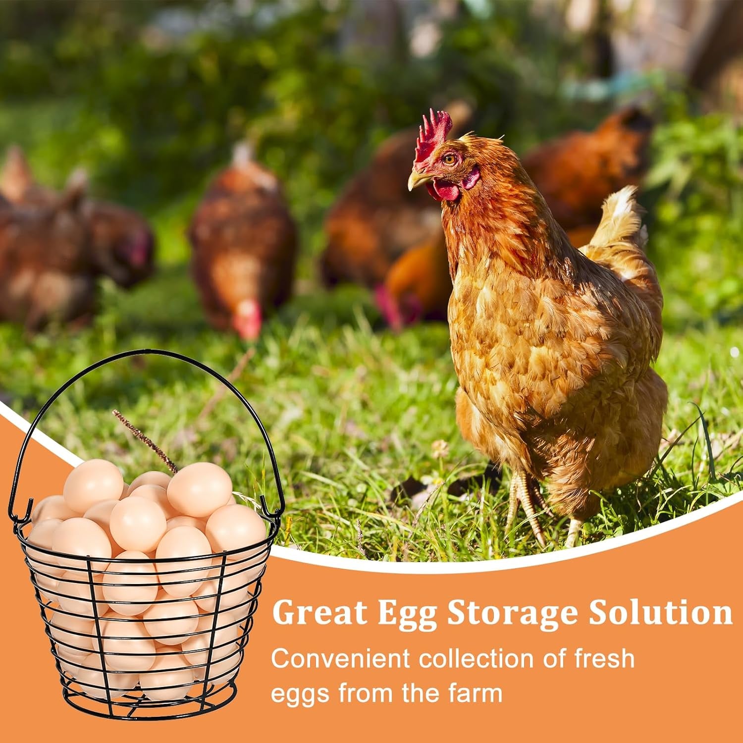 Set of 3 Black 8-Inch Round Wire Egg Baskets with Handle for Collecting Fresh Chicken and Duck Eggs, Ideal Countertop Storage Solution