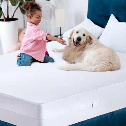 Zippered Mattress Encasement Queen, 100% Waterproof Bed Bug and Dust Mite Proof Mattress Protector, Absorbent Six-Sided Mattress Cover