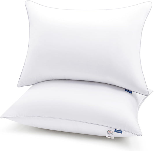 Pillows Queen Size Set of 2, Hotel Quality Bed Pillows for Sleeping 2 Pack, Cooling Pillows for Side Back and Stomach Sleepers, down Alternative Luxury Soft Supportive Fluffy Pillows (18X28)