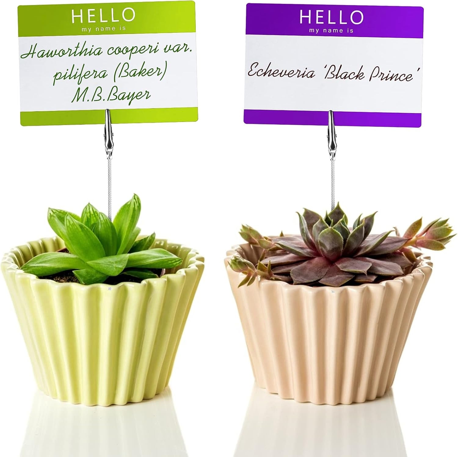 40 PCS Metal Wire Long-Tailed Alligator Clamp Photo Clip Holder - Alligator Clips for Crafts, DIY Card, Photo, Memo Holder (6Inch/150Mm)