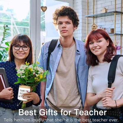 Teacher Appreciation Gifts, Teacher Gifts, Funny Anniversary Birthday Christmas Retirement Thanksgiving Best Gift for Teachers, Unique Lavender Scented Candles