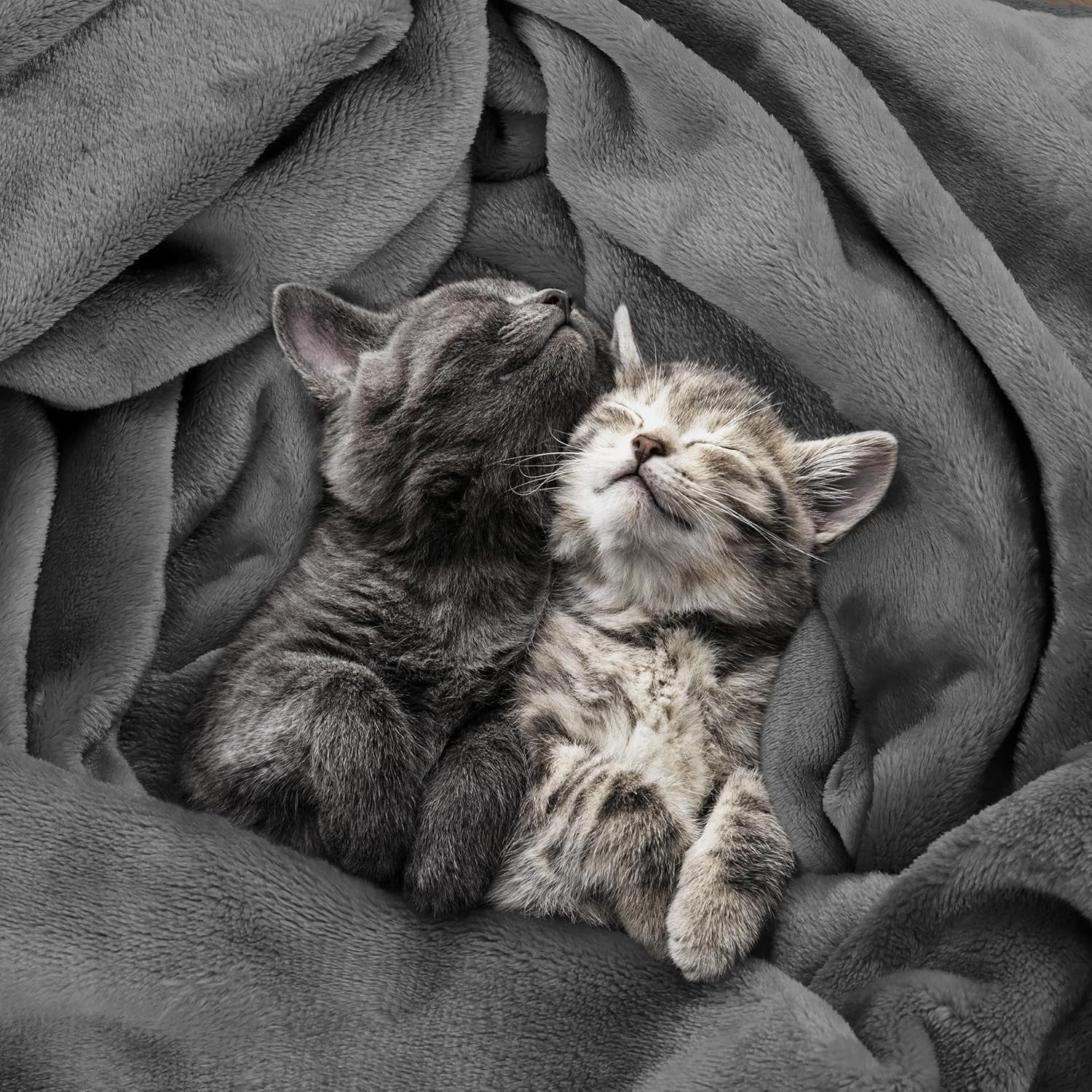 Fleece Blanket Queen Size Grey 300GSM Luxury Anti-Static Fuzzy Soft Microfiber Bed Blanket (90X90 Inch)