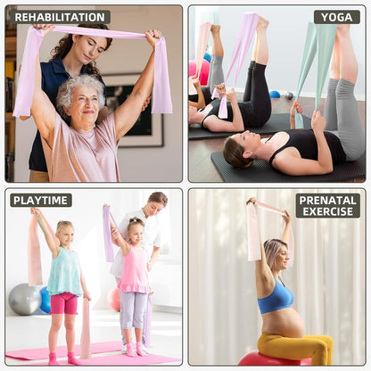 Resistance Bands for Working Out, Exercise Bands Resistance Band for Physical Therapy, Stretch Bands for Legs, Arm, Whole-Body Fitness, Booty, Stretching, Women & Men Workout Bands