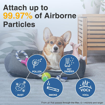 HPA300 HEPA Air Purifier Filter R for Honeywell Air Purifier HPA100/200/300 and 5000 Series, 6 Pack HEPA Filter Compatible with Honeywell R Filter (HRF-R3 & HRF-R2 & HRF-R1)