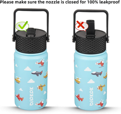 Water Bottle with Straw Lid, 15 Oz Insulated Water Bottle, Stainless Steel Metal Water Bottles, Reusable Leak Proof BPA Free Thermo, Flask, Cups, Aircraft