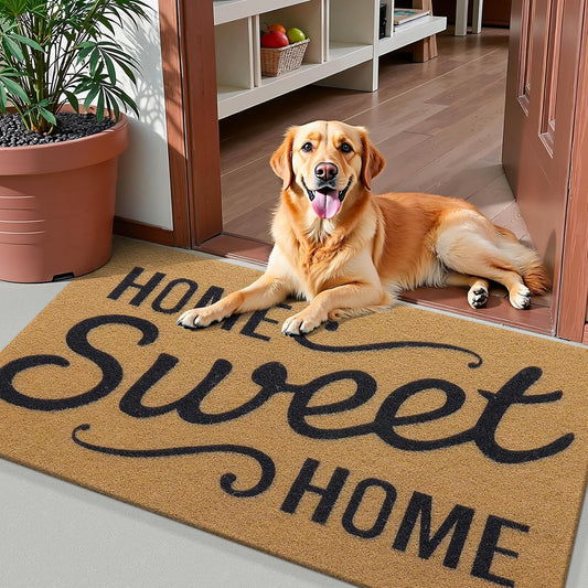 Front Door Mat, Low Profile Welcome Doormat for Home, Stain and Fade Resistant, Easy to Clean, for Indoor and Outdoor Entrances, Porch or Entryway, 30X17 Inch, Brown