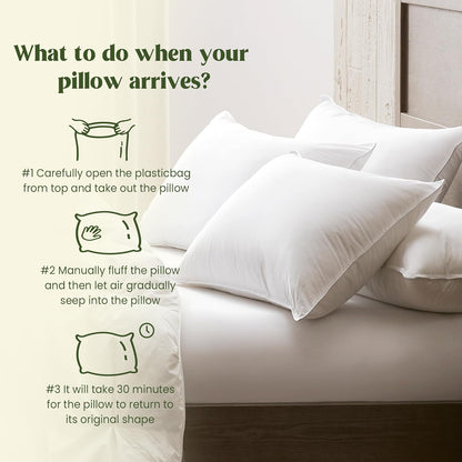 ® Natural down Feather Pillows, King Bed Pillows for Sleeping Set of 2, Grand Hotel Pillows with Cotton Fabric Cover (Pack of 2)